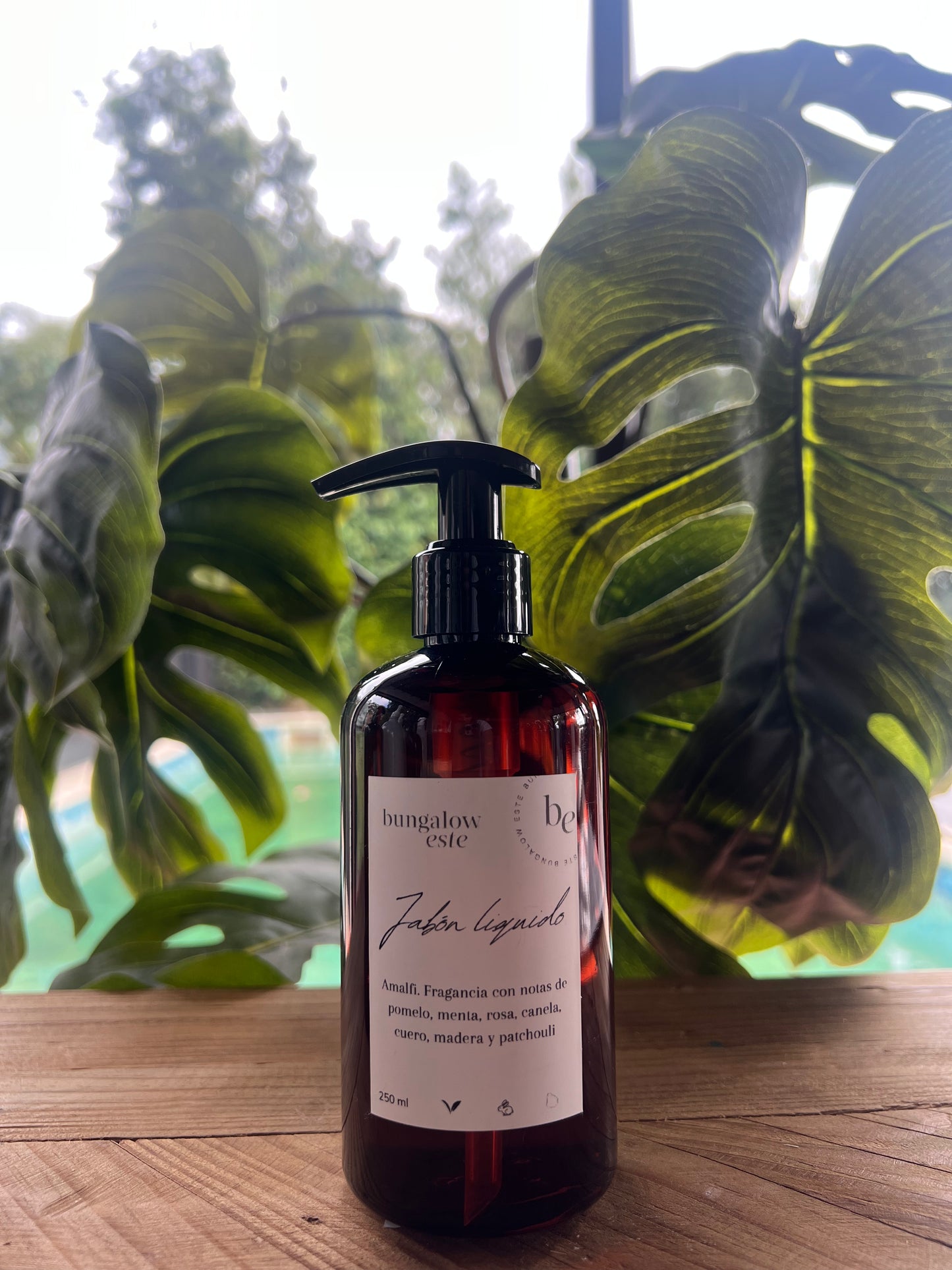 Jabón Liquido 250 ml
